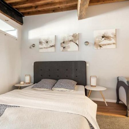 Au Coeur De La Vieille Ville Annecy Dış mekan fotoğraf